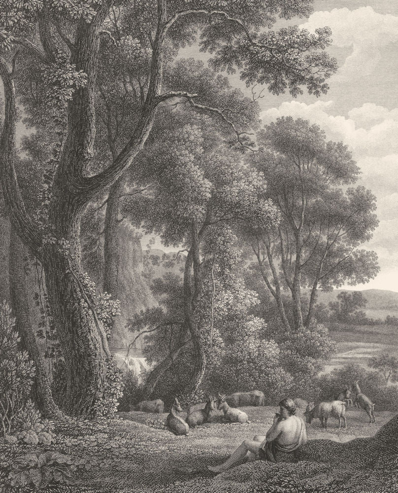 STUDY OF TREES FROM NATURE. Claude Lorraine 1835 old antique print picture